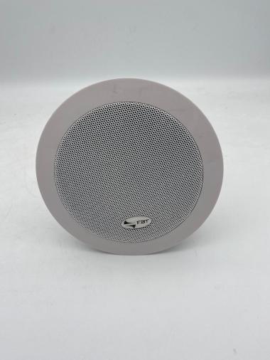 Ceiling speaker (Klein)