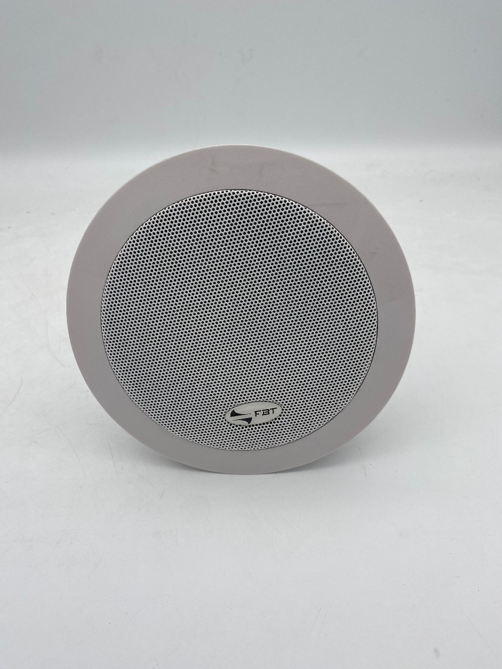 Ceiling speaker (Klein)